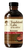 reishi and turkey tail benefits, Buy Reishi Mushroom USA, Mushroom Maple Syrup USA